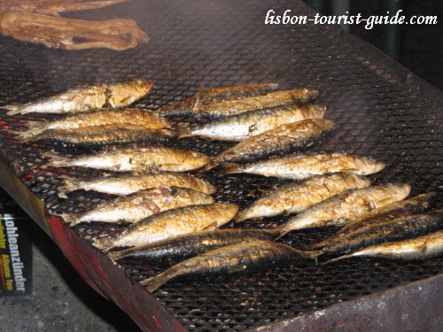 Lisbon Sardines - Sardinhas.