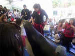 Lisbon Zoo Dolphin Show.