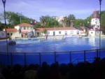 Lisbon Zoo Dolphin Show.