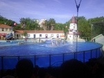 Lisbon Zoo Dolphin Show.