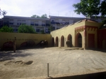 Lisbon Zoo Elephant.