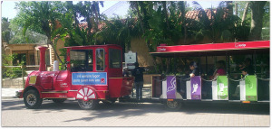 Lisbon Zoo Train.