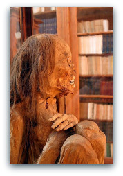 Lisbon Carmo Museum Peruvian Mummy.