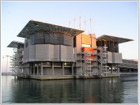 Lisbon Oceanarium.